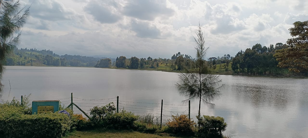 Conditional Liquidity Support Grant (II)